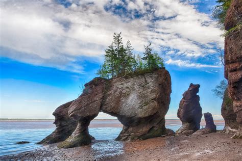 Hopewell Rocks Iv Tide Receding Quickly At Hopewell Rocks Flickr