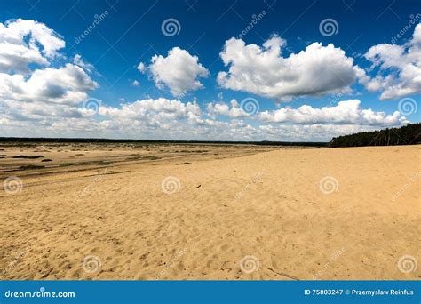 Bledowska Desert Sand The Largest Area Of Quicksand In Poland Located