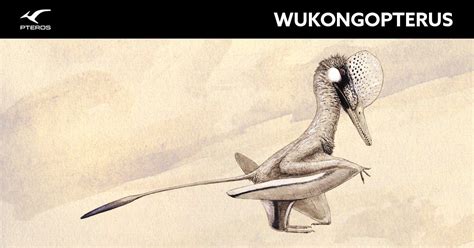 Wukongopterus Pteros