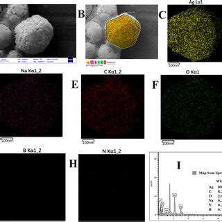 Sem Image A Elemental X Ray Mapping From B To H And Edx Analysis