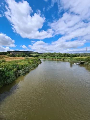 10 Best Hikes and Trails in South Downs National Park | AllTrails