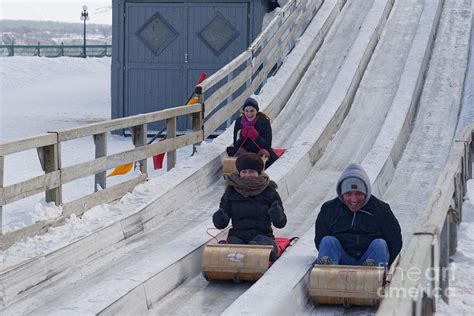 Toboggan Race Photograph by Colin Woods - Pixels