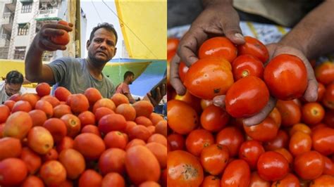 In Photos Tomato Prices Soar Across Country Due To Dip In Supply Cost