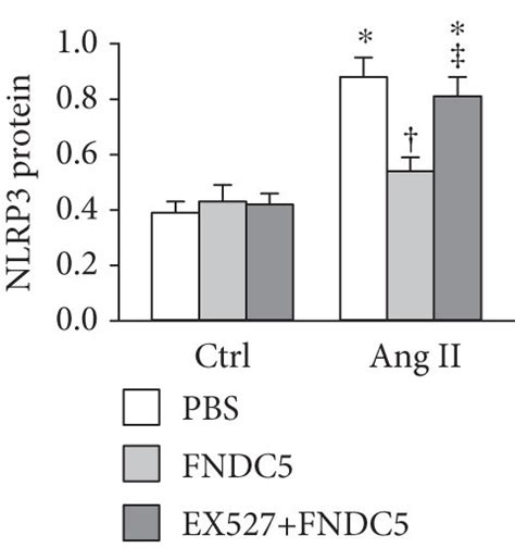 Inhibition Of SIRT 1 With EX527 Attenuates The Protective Effects Of