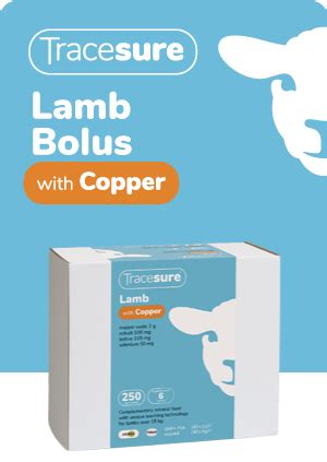 Tracesure Lamb With Copper Animax