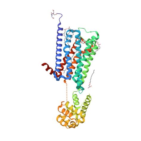 RCSB PDB 5DSG Structure Of The M4 Muscarinic Acetylcholine Receptor