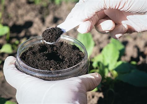 Comment Faire Une Analyse De Sol Facilement Du Jardin Dans Ma Vie