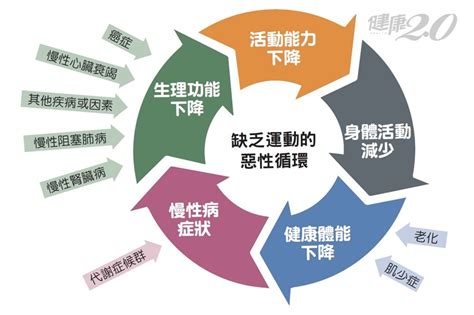 長期不運動，招來惡體質與肌少症！運動別犯3錯誤 小心和吃錯藥一樣危險缺乏運動做錯運動過度訓練｜健康20