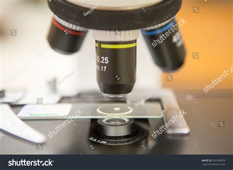 Ocular Lens Power Microscope | edu.svet.gob.gt