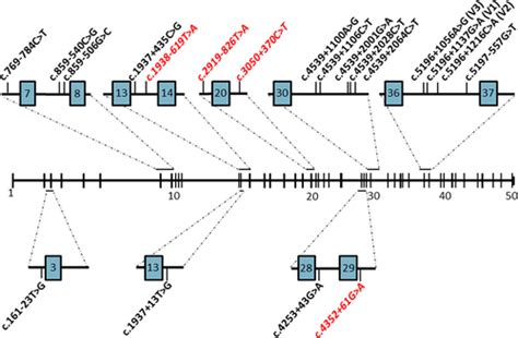 Identification Of Splice Defects Due To Noncanonical Splice Site Or