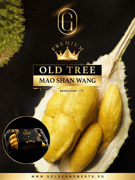 Best Of The Best G Old Tree Black Gold Mao Shan Wang Fresh Durian