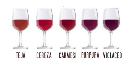 Los Colores Del Vino Tinto Hellowine Store