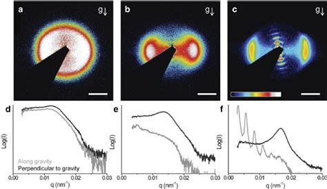 SAXS patterns from a sediment of silica rods with length L 1 9 μ m