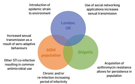 How Do Epidemics Become Endemic Lessons From Shigellosis In Men Who Have Sex With Men