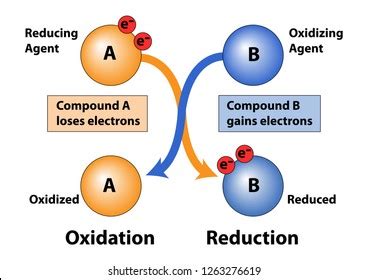 Oxidation Reduction Photos, Images & Pictures | Shutterstock