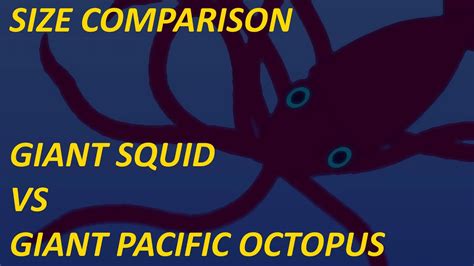 Giant Squid Vs Giant Pacific Octopus Size Comparison Youtube