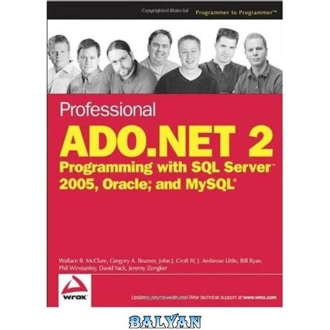 Professional Ado Net Programming With Sql