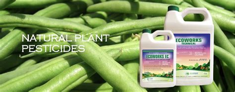 Ecostadt Natural Plant Pesticides