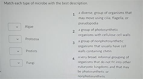 Solved Match Each Type Of Microbe With The Best Chegg