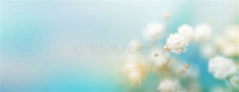 84+ Background Flower Blur Pics - MyWeb