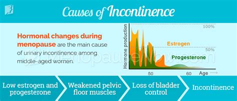 Incontinence Symptom Information Menopause Now