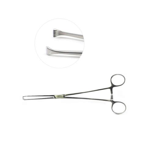 Allis Tissue Forceps 5x6 | General Surgery - Surgical Instruments – NABTECH USA