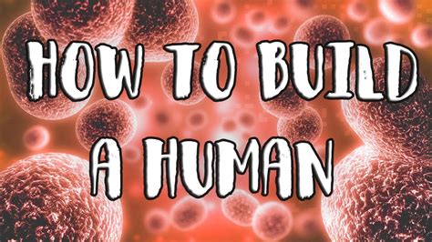 How To Build A Human