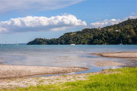 Waiheke Island Beaches: Auckland's Best Getaway