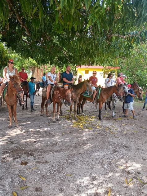 Was Du In Punta Cana Unternehmen Kannst Einzigartige Touren