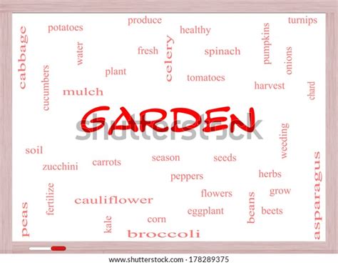 Garden Word Cloud Concept On Whiteboard Ilustra Es Stock