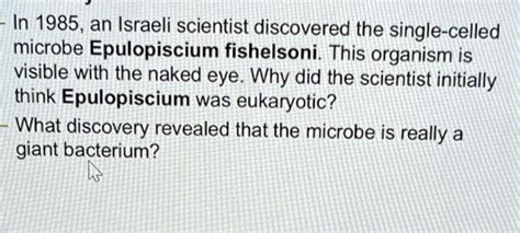 SOLVED: In 1985, an Israeli scientist discovered the single-celled microbe Epulopiscium ...