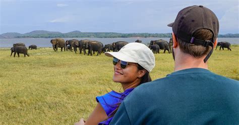 Minneriya National Park Half Day Sri Lanka Jeep Safari GetYourGuide