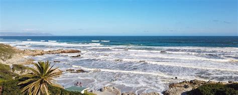 Attractions - Hermanus Beachfront Lodge