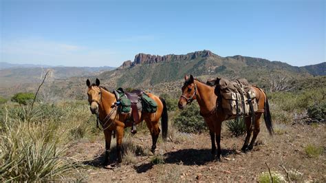 Superstition Mountains | Gillian Larson