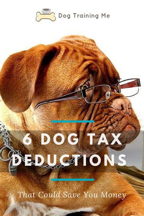 Find Out Some Dog Tax Deductions That You May Qualify For Without Even