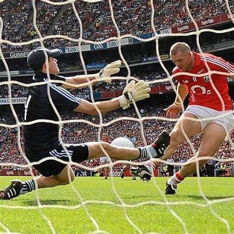 Net World Sports | Shop The Best Sports Equipment & Gear