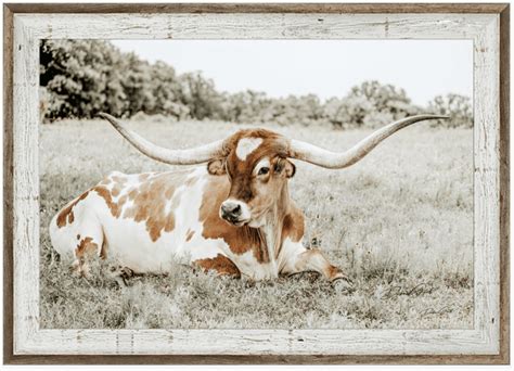 TEXAS LONGHORN WALL ART PRINTS - Debra Gail