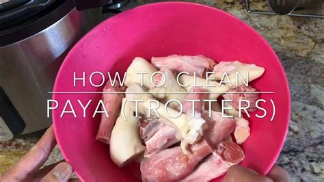 How To Clean Lamb Paya Trotters Youtube