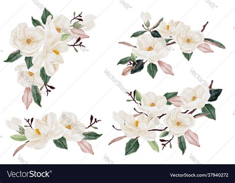 Watercolor White Magnolia Flower And Leaf Bouquet Vector Image