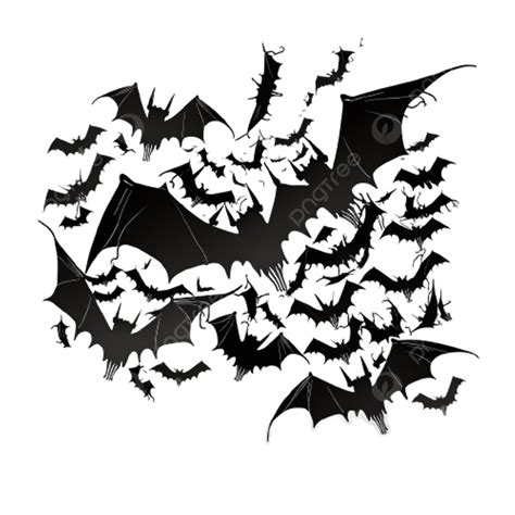 Chauve Souris Silhouette Horreur Noir PNG Chauve Souris La Terreur