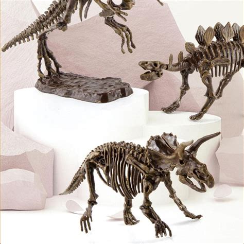 Dinosaur Fossil Digging Kit - Dzordz Shop