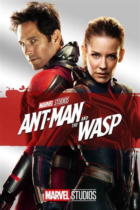 Ant Man And The Wasp