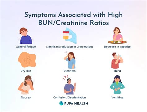 High BUN Creatinine Ratio: Causes, Symptoms, and Treatment