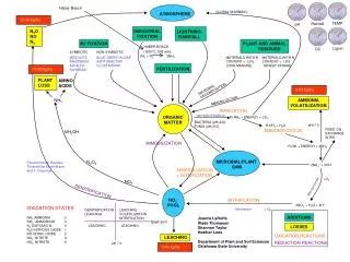 PPT - ORGANIC MATTER DECOMPOSITION PowerPoint Presentation, free ...