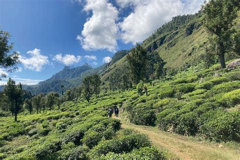 How To Explore Sri Lankas Highlands On The New Pekoe Trail