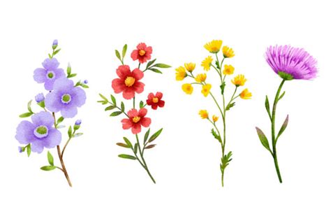 Produkcja Clipart Flowers