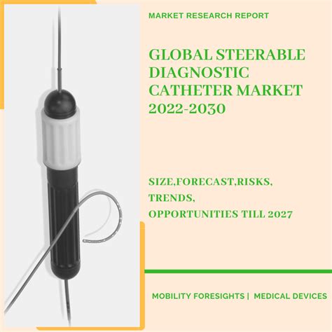 Global Steerable Diagnostic Catheter Market 2022 2030 February 2024