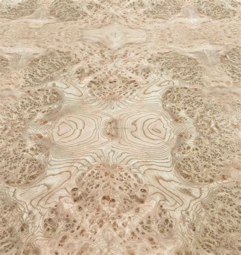 Burl Elm Carpathian Wood Veneer Sheet With Paper Backer Wood Veneer