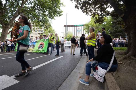 Fotos De La Manifestaci N En Zaragoza En Defensa De La Paralizaci N Del