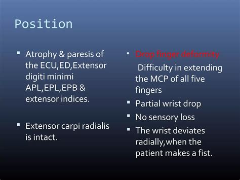 Radial Nerve Course Relations Applied Anatomy PPT